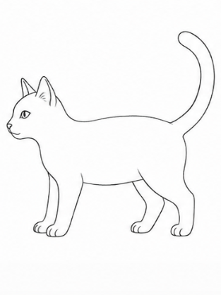 Step 7: Detailing the Features