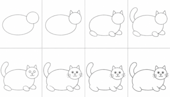 How To Draw a Fat Cat