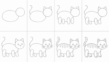 How To Draw a Small Cat